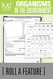 Create A Creature Organisms In The Ecosystems Dice Roll Activity Ecosystems Unit Ecosystems Ecosystem Activities