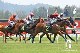 Pertandingan festival nasyid sekolah sekolah kementerian pendidikan malaysia 2018 bertempat di dewan. Anak Warrior Selangor Turf Club