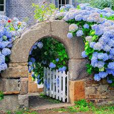 Blue White Garden Design Ideas Gardening From House To Home White Gardens Blue Hydrangea Flowers Garden Design