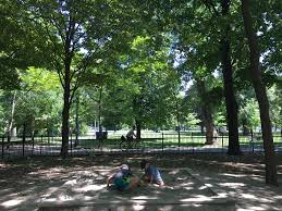 Advocates and supporters have surrounded the encampment and police inside the fencing. City Kid S Backyard Toronto S Trinity Bellwoods Park Kids In T O