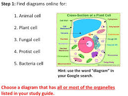Shop online for all your home improvement needs: Cell Poster Project Poster Due Mon 11 30 Tues 12 01 20 Pts Poster Is The Start Of Class Ppt Download