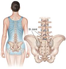 This video will show you how to remember the human bones of the body. Anatomy Of The Spine Redlands Loma Linda Highland Bones And Spine Surgery Inc