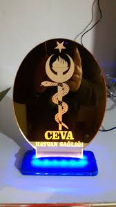 Veteriner Hayvan Sagligi Gold Aynali Led Gece Lambasi Led Hayvan Veterinerler