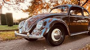 Image result for Medium Brown 1949 Beetle