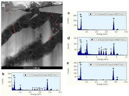 Image result for alloy edx micrograph