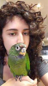 Request for name help part 2 Just found out this little angel is a boy, so  I'm looking for neutral or male-type names. Current ideas Scully Bemo  Shmuli (my dads suggestion) Thanks