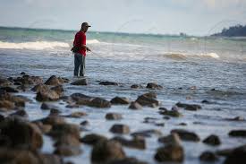 Pantai batu hitam, kuantan, pahang, malaisia 4.1. A Fisherman Diligently Fishing At The Pantai Batu Hitam Kuantan Malaysia By Muhammad Izzuddin Abd Radzak Photo Stock Snapwire