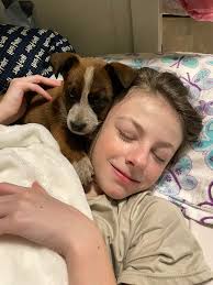 What to expect from a 10-week-old Blue Heeler Golden Doodle's adult coat?