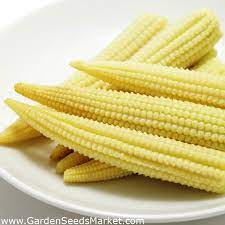 Mau tahu solusi pertanyaan tebak gambar? Jagung Manis Minigold Gula Jagung Jagung Tiang Zea Mays Convar Saccharata Var Rugosa Biji Garden Seeds Market Bebas Biaya Kirim