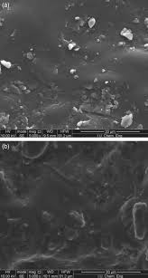 This popular cactus can grow all over the world and is destined to be the next big herbal superstar. Optimization Of Ultrasound Assisted Extraction Of Phenolic Compounds From Grapefruit Citrus Paradisi Macf Leaves Via D Optimal Design And Artificial Neural Network Design With Categorical And Quantitative Variables Cigeroglu 2018 Journal