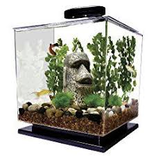 Tetra Led Cube Shaped 3 Gallon Aquarium With Pedestal Base Chicago Aquarium Aventura Disfruta Ca Small Fish Tanks Betta Fish Tank Aquarium Kit