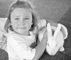 Brian Helser's Instagram, Twitter & Facebook