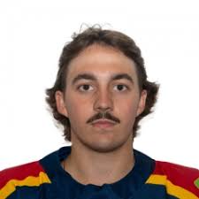 New Hamburg Firebirds @ Grimsby Peach Kings Tuesday, April 16, 2024