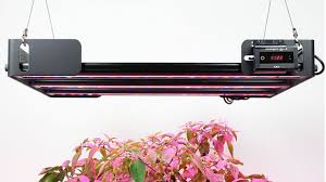Maybe you would like to learn more about one of these? Intelligent Light Source Pro Series 72 Led Grow Light Review