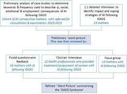 Flow Chart To Show Study Structure To Formulate The Word