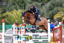 While we are still busy in spain, nevados s, him, has found his green prairies again. Official Website Of Gregory Wathelet N 1 Showjumping S Belgian Rider Ace Of Heart Gp 7 Years Old