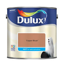 Medium nap roller, roller tray and a 100mm paint brush. The Best Metallic Paint For Walls Metallic Wall Paint Uk Coating Co Uk