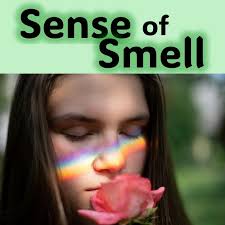 The Body Senses the End: The Importance of Smell in Health and Wellbeing