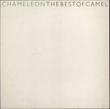 I can see your house from here. Camel Rare Vinyl Records Lps Vinyl Albums 7 12 Singles Cd Cd Singles Image Gallery Page 1 Eil Com Buy Sell Vinyl Record Collections
