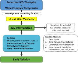 Image result for Ventricular Fibrillation Management in the Adult
