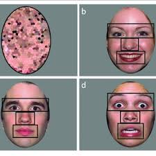 PDF) Atypical Social Attention and Emotional Face Processing in Autism  Spectrum Disorder: Insights From Face Scanning and Pupillometry