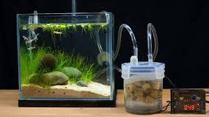 If you are searching for betta fish tanks with plants that could allow your precious betta fish to swim around freely, there is one highly recommended product that can do the job. Make Filter For Mini Fish Tank Youtube