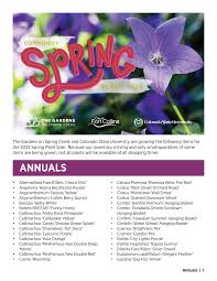 Image result for Coleus calycinus