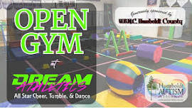 Open Gym at Dream Athletics