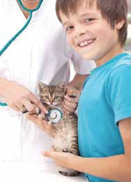 LIVING IN CAYUGA COUNTY