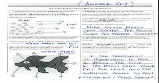 Amoeba sister video recap nature of science answer key. Lisa Willhite Lisaw2115 Profile Pinterest