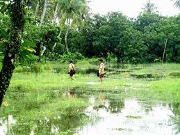 Ya, tentunya buku pelajaran yang jadul banget. 99 Contoh Pantun Nasehat Belajar Anak Sekolah Orang Tua Agama Klak Klik Bermutu