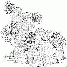 Pin On Color Me Mine Ideas