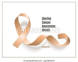 It mainly symbolizes hope, and somehow reminds people the respect every. Peach Color Ribbon For Uterine Cancer Awareness Month Banner On White Background Beige Satin Band In Curled Loop Shape For Canstock
