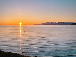 Elsie Woolf (@woolf_elsie)