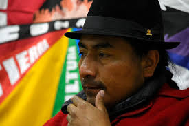 WILLIAM BOLAñOS (@wilyb196)