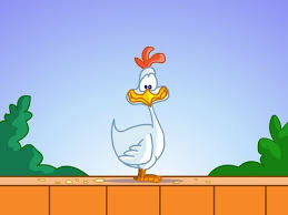 Une Poule Sur Un Mur Qui Picore Du Pain Dur Youtube