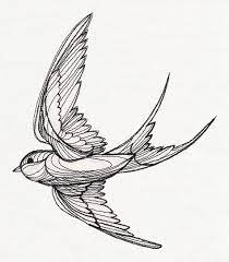Pin On Swallow Bird Tattoo Drawing Designs