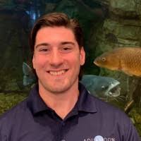 80+ "Alexiades" profiles