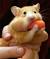 Panda Bear Teddy Bear Hamster