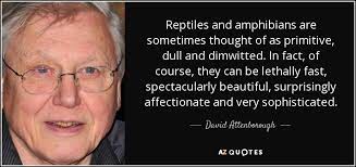 Originally a reptile inhabiting fire; David Attenborough Quote Reptiles And Amphibians Are Sometimes Thought Of As Primitive Dull