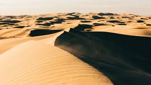 We did not find results for: Imperial Sand Dunes A Larger Than Life Adult Sandbox