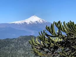 Go volcano is located in pucon. Hiking Guide Climbing The Villarrica Volcano With Casa De Guias Pucon Schuck Yes