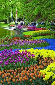 The Colours Of Keukenhof Gardens Lisse Jardines Jardines Bonitos Y Jardin De Tulipanes