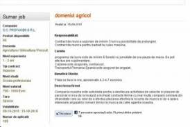 Business activ consult srl este o agenţie de recrutare fondată în 2003, fiind unul dintre pionierii serviciilor profesionale de recrutare din românia.valorile care stau la baza succesului companiei sunt:profesionalismul, pasiunea FirmÄ De Recrutare BÄnuitÄ De Trafic De Persoane