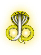 Sarpasamskara Online Booking Kukke Shree Subrahmanya Temple Sarpa Samskara Kukke subramanya (tulu and kannada: kukke shree subrahmanya temple