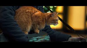 Based on the international best selling book. Dialogue Promo A Street Cat Named Bob Times Of India Videos