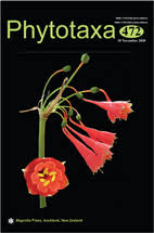 Image result for Staudtia