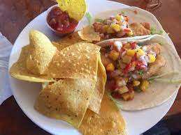 Snapper (red snapper is an especially delicious fish and it's in season right now), grouper, amberjack and cobia are great baked, fried, sautéed or grilled, and they just happen to make great tacos, too. The Fish Tacos Were Terrific Especially With The Mango Verde Salsa Picture Of Gilligan S Island Bar Grill Siesta Key Tripadvisor