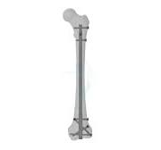 Distal Femur Nail