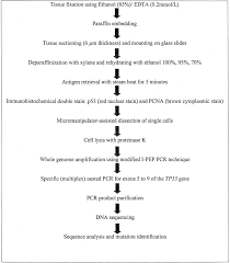 A Flow Chart Of The Methods Used For Mutation Analysis Using